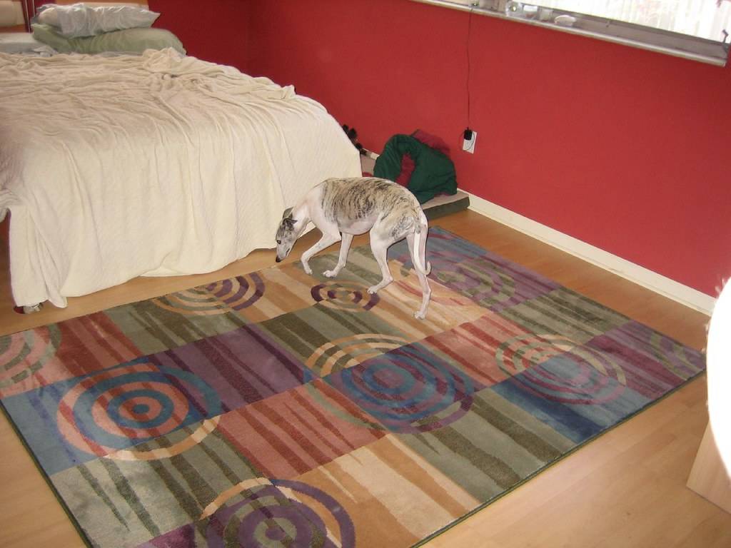 Rug Sanitisation & Allergen Reduction