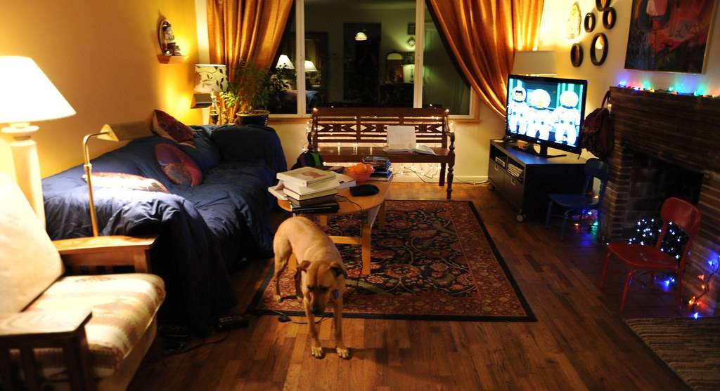 Rug Cleaning for Your Home or Business