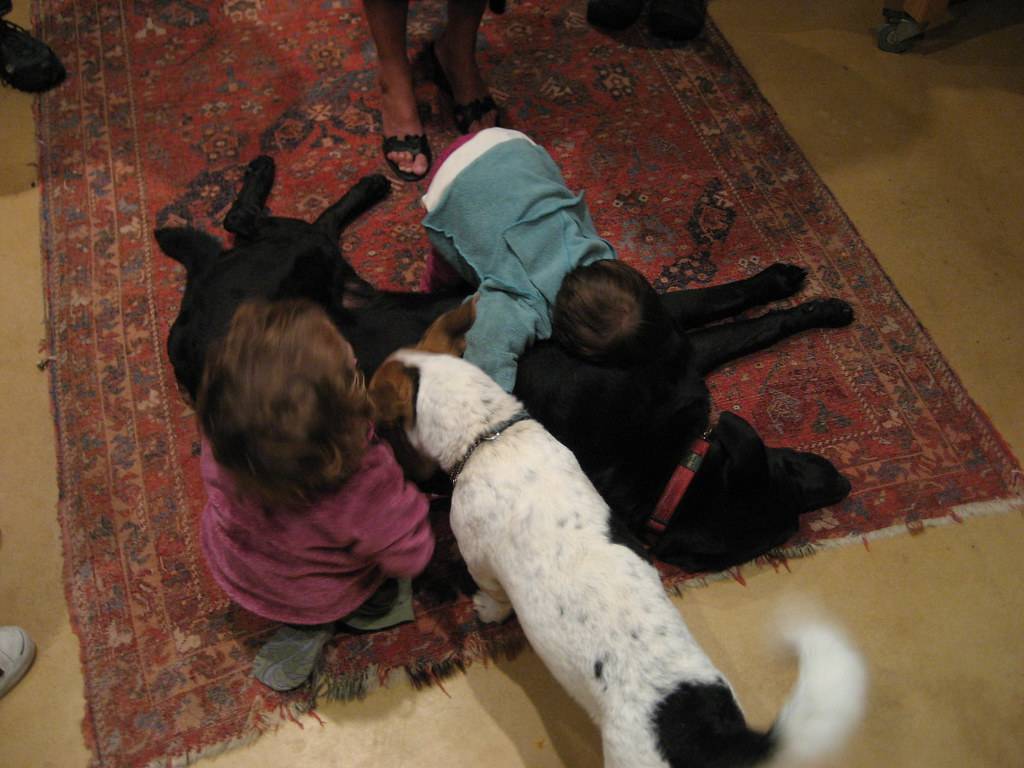 Rug Stain & Odour Removal