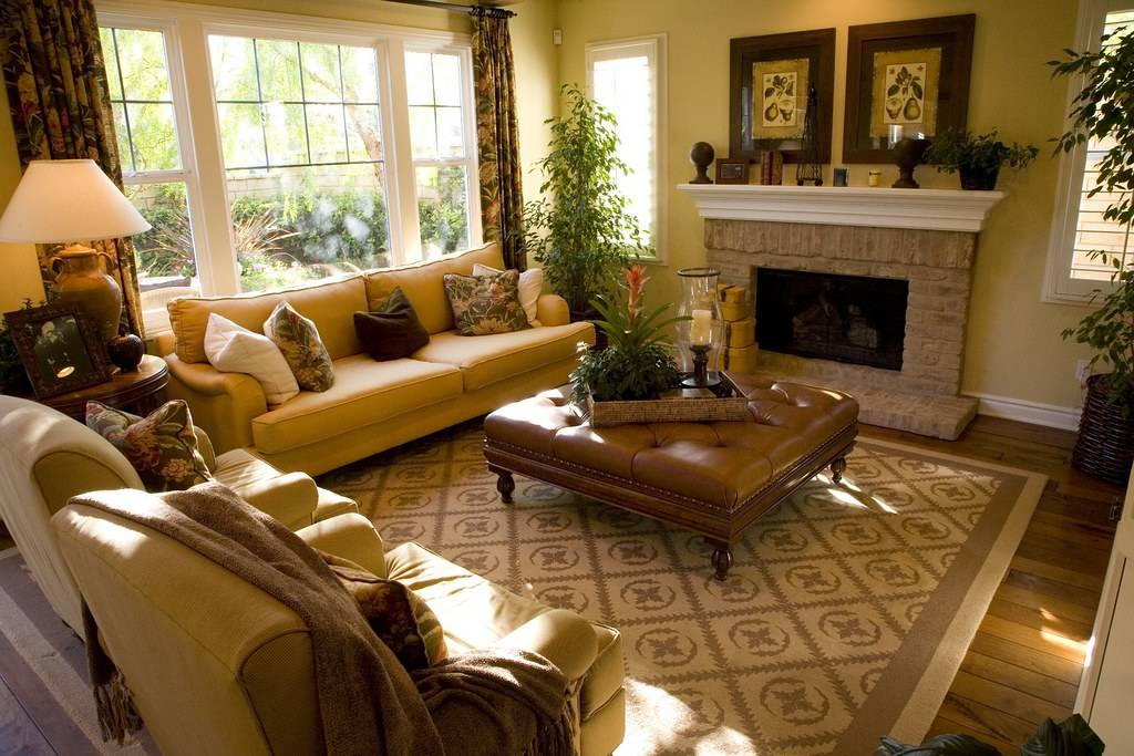 Rug Deodorising Service