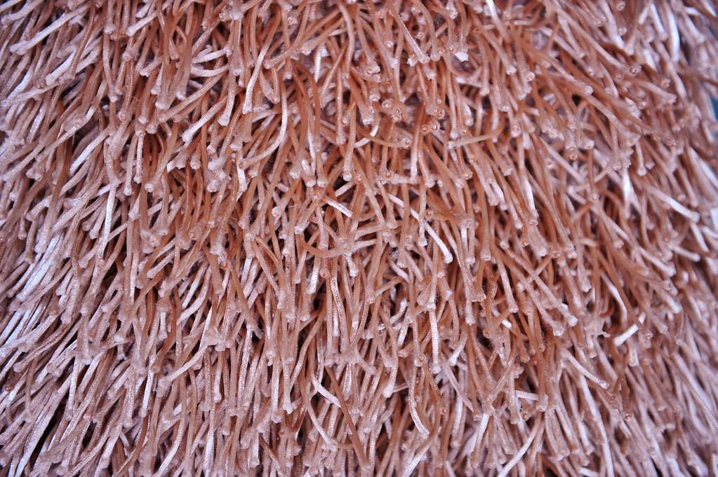 Synthetic Rug Cleaning